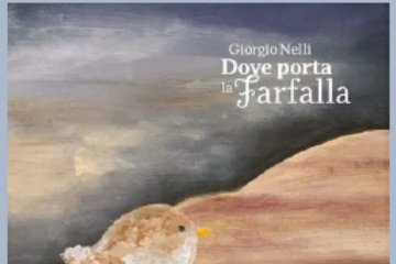 Dove porta la farfalla