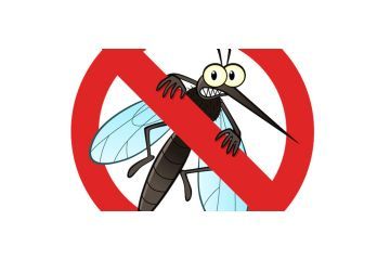 Lotta biologica alle zanzare - anno 2026