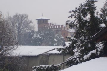 Sfoglia la galleria